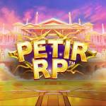 petirrp petirrp Profile Picture