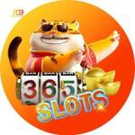 365slots 365slots Profile Picture