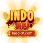indorp indorp Profile Picture