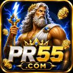 pr55 pr55 Profile Picture
