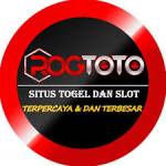 rogtoto rogtoto Profile Picture