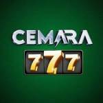 cemara77 cemara77 Profile Picture