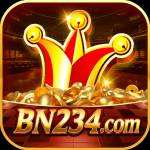 bn234 bn234 Profile Picture