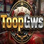toopgws toopgws Profile Picture