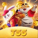 t55 t55 Profile Picture