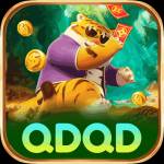 qdqd qdqd Profile Picture