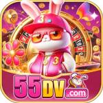 55dv 55dv Profile Picture