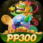 pp300 pp300 Profile Picture