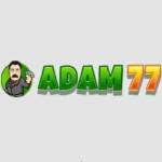 adam77 adam77 Profile Picture
