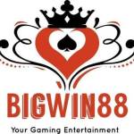 bigwin88 bigwin88 Profile Picture