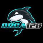 orca128 orca128 Profile Picture