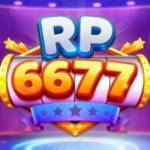 rp62rp rp62rp Profile Picture