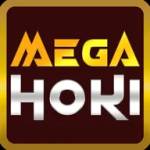 megahoki megahoki Profile Picture