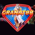granat88 granat88 Profile Picture