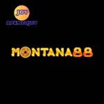 montana88 montana88 Profile Picture