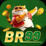 br99 br99 Profile Picture