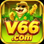v66 v66 Profile Picture