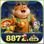 887z 887z Profile Picture