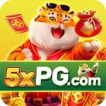 5xpg 5xpg Profile Picture